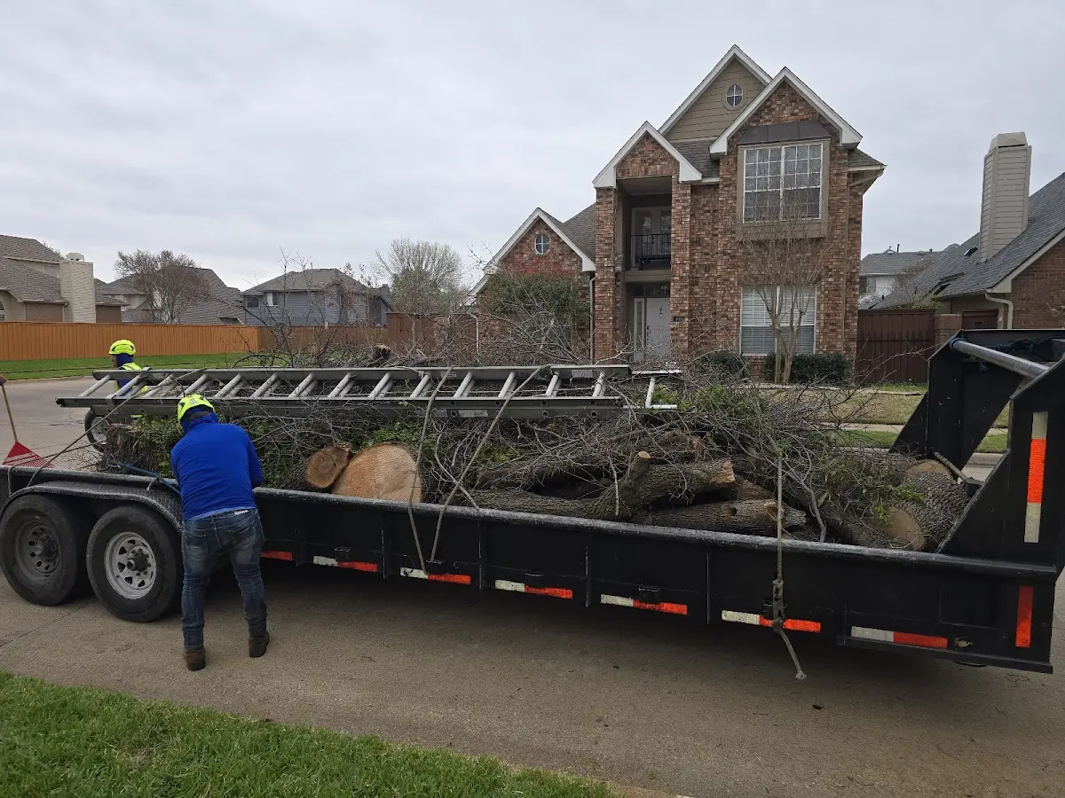 Expert Tree Pest Control with proper safety equipment in Camp Creek